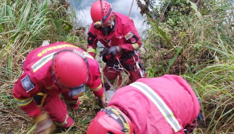 Accidente en La Paz: Estudiantes de El Alto mueren en precipicio