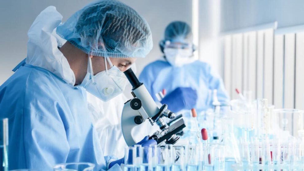 PDK1 y cáncer: posible solución para frenar el desarrollo del cáncer