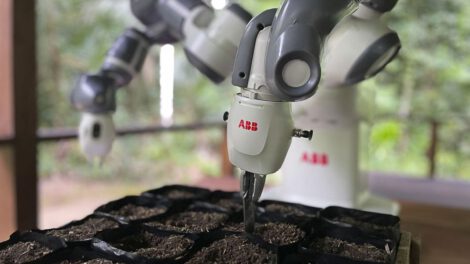 ABB Robotics y Junglekeepers protegiendo la selva amazónica con el cobot YuMi