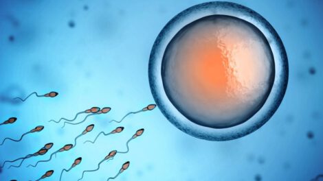 Bebé concebido con técnica HyperSperm