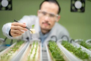 Agricultura hidropónica como alternativa viable para la exploración lunar