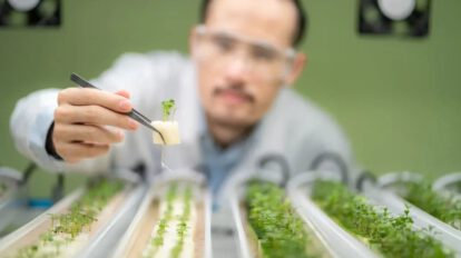 Agricultura hidropónica como alternativa viable para la exploración lunar