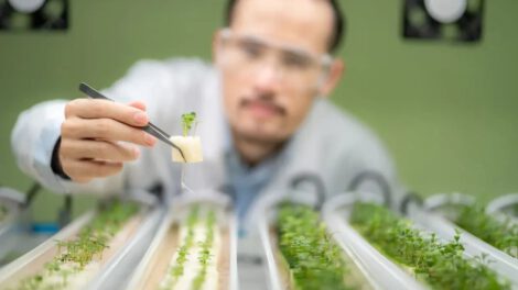 Agricultura hidropónica como alternativa viable para la exploración lunar