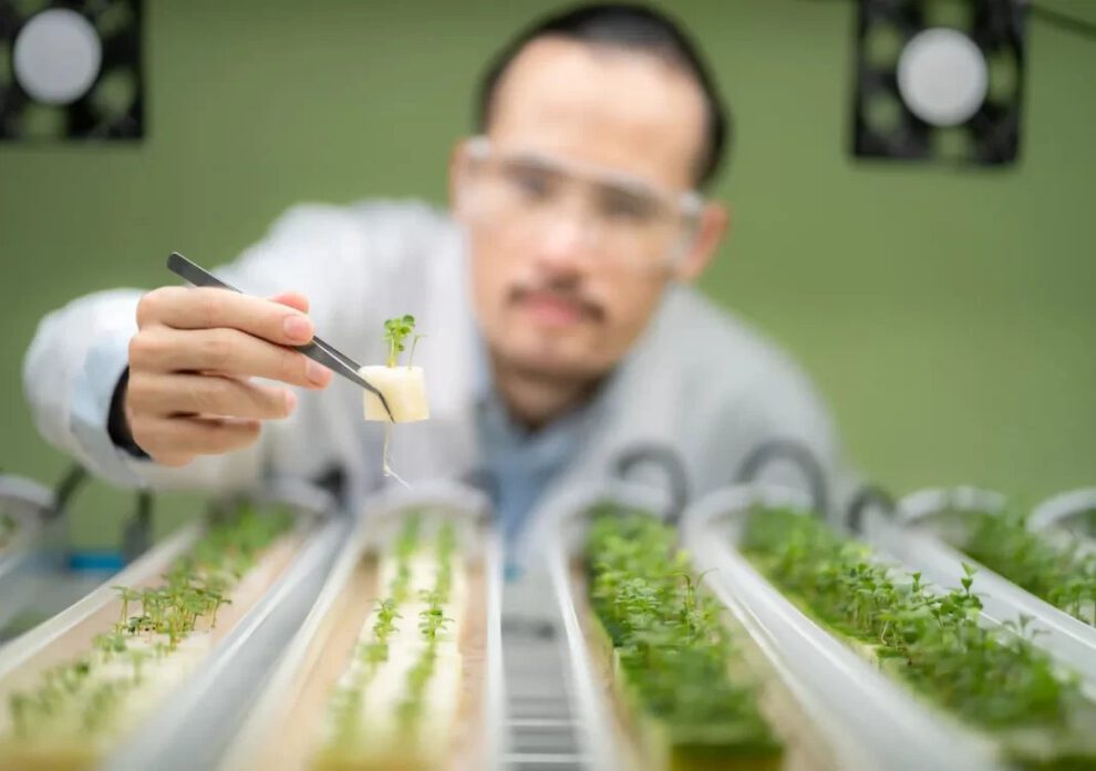 Agricultura hidropónica como alternativa viable para la exploración lunar
