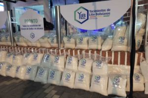 YLB sal común para consumo animal