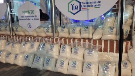 YLB sal común para consumo animal