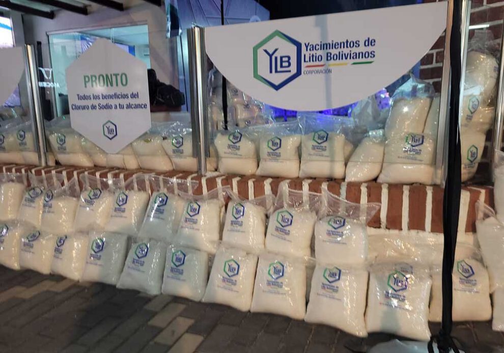 YLB sal común para consumo animal
