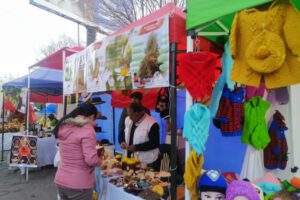 Feria Modelo Fexpomype en Oruro