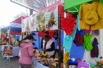 Feria Modelo Fexpomype en Oruro