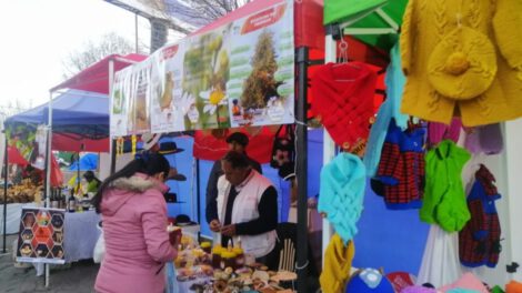 Feria Modelo Fexpomype en Oruro