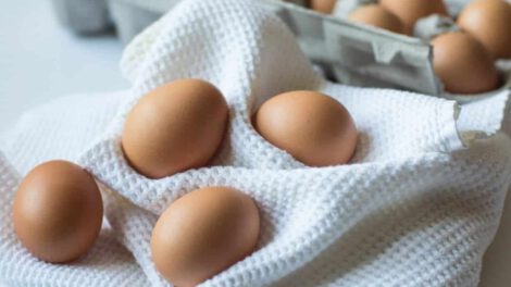 Cómo guardar los huevos para evitar la infección por salmonela