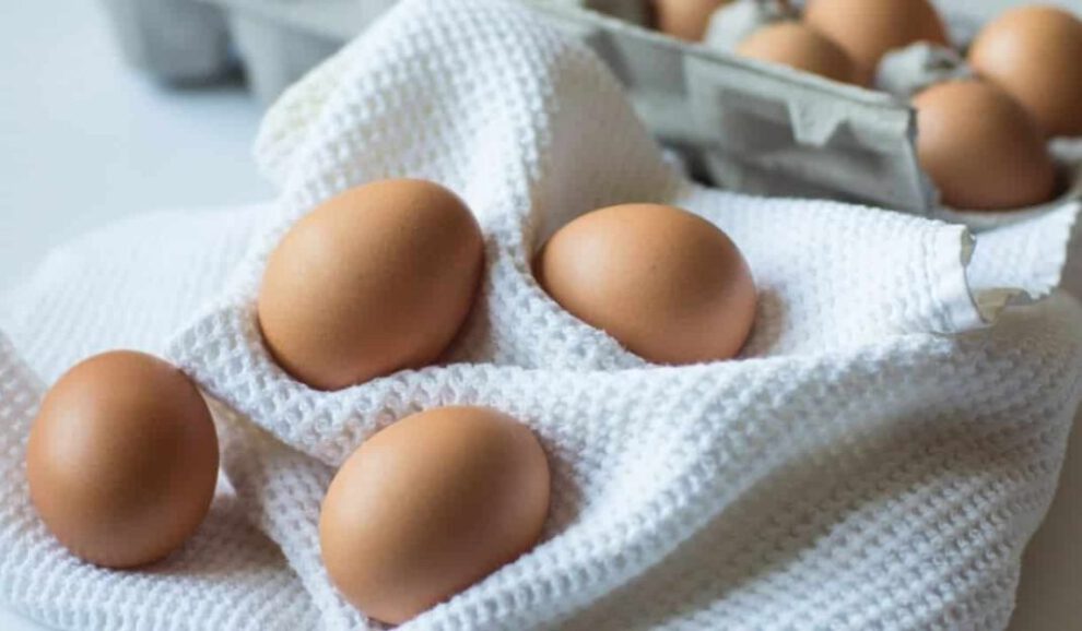 Cómo guardar los huevos para evitar la infección por salmonela