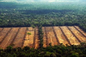 Deforestación en Bolivia según FAN Bolivia y RAISG
