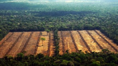 Deforestación en Bolivia según FAN Bolivia y RAISG