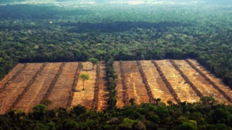 Deforestación en Bolivia según FAN Bolivia y RAISG