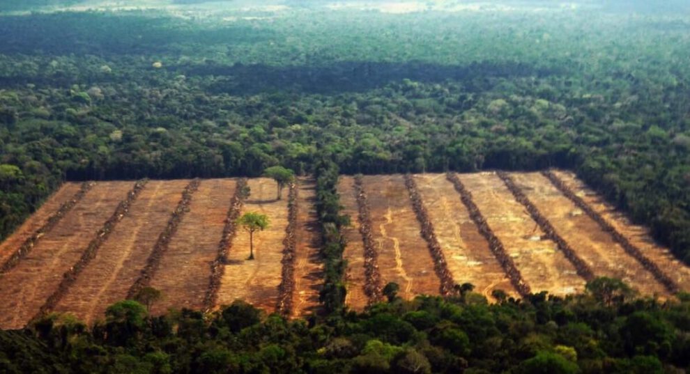 Deforestación en Bolivia según FAN Bolivia y RAISG