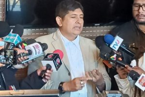 Futuro del ministro Del Castillo según Luis Arce