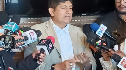 Futuro del ministro Del Castillo según Luis Arce