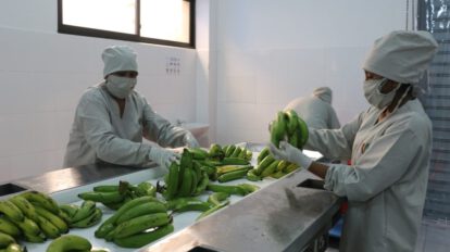 Industrialización de alimentos en Bolivia