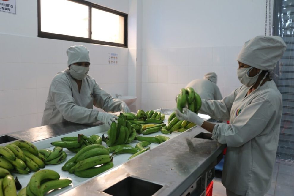 Industrialización de alimentos en Bolivia