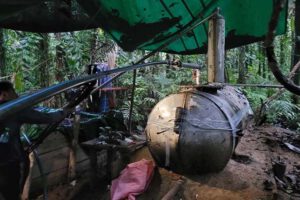 Drogas y deforestación en el Amazonas según informe de la Unodc
