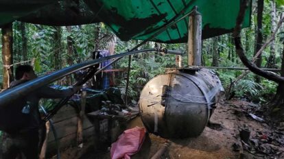 Drogas y deforestación en el Amazonas según informe de la Unodc