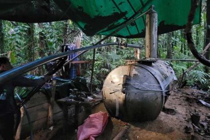 Drogas y deforestación en el Amazonas según informe de la Unodc
