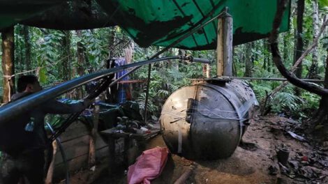 Drogas y deforestación en el Amazonas según informe de la Unodc