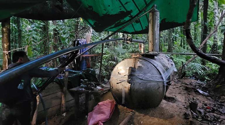 Drogas y deforestación en el Amazonas según informe de la Unodc