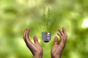 Ahorra en la factura de la luz