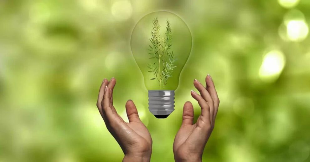 Ahorra en la factura de la luz