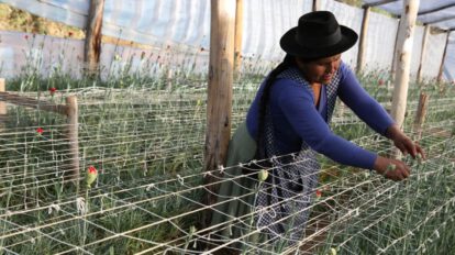 Programa Accesos Rural para construir resiliencia ante el cambio climático en familias rurales de Bolivia