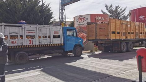 Implementan puntos Chiri para evitar agio en venta de GLP