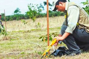Verificación de tierras en Santa Cruz por el INRA