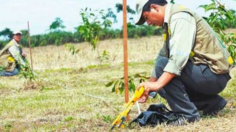 Verificación de tierras en Santa Cruz por el INRA