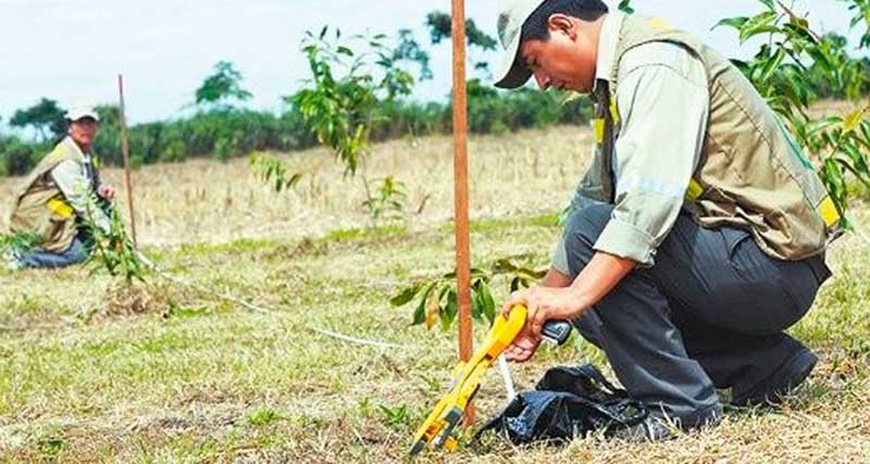 Verificación de tierras en Santa Cruz por el INRA