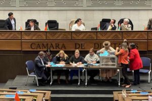 Cámara de Diputados créditos internacionales