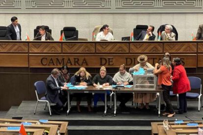 Cámara de Diputados créditos internacionales