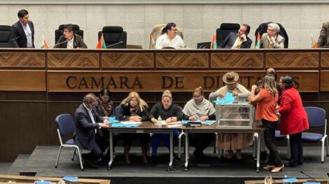 Cámara de Diputados créditos internacionales