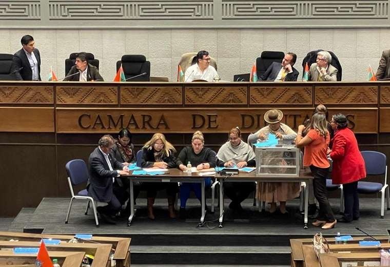 Cámara de Diputados créditos internacionales