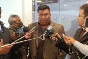 El diputado del MAS, Hilarión Mamani, habla sobre elecciones judiciales