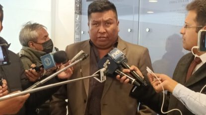 El diputado del MAS, Hilarión Mamani, habla sobre elecciones judiciales