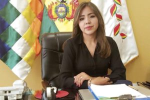 Restitución de Del Castillo según la Viceministra de Comunicación