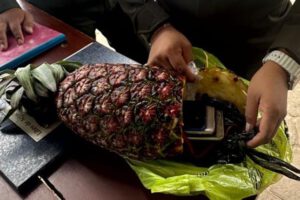 Requisa en Palmasola: Hallan celulares escondidos en una piña