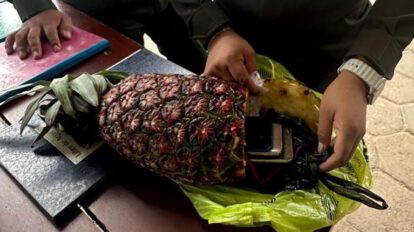 Requisa en Palmasola: Hallan celulares escondidos en una piña