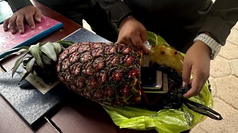 Requisa en Palmasola: Hallan celulares escondidos en una piña