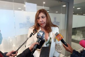 Patricia Arce, presidente de la Comisión Mixta de la Asamblea Legislativa Plurinacional sobre elecciones judiciales