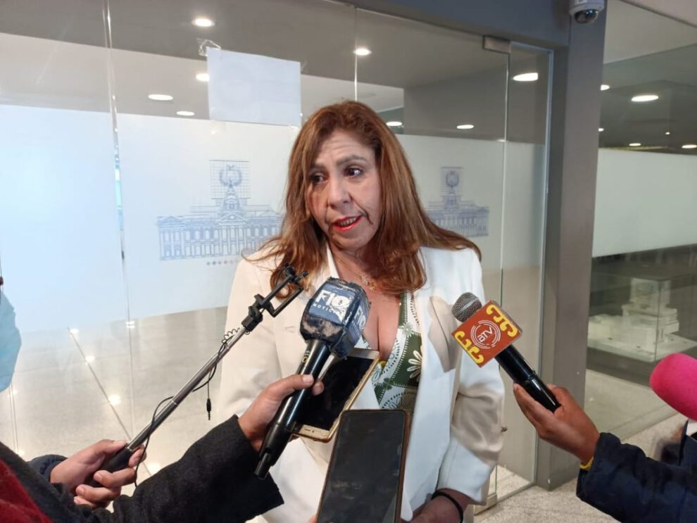 Patricia Arce, presidente de la Comisión Mixta de la Asamblea Legislativa Plurinacional sobre elecciones judiciales