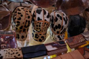 Tráfico de partes de jaguar en Bolivia