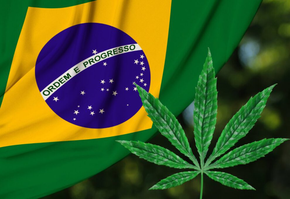 Brasil prohíbe importación de cannabis medicinal